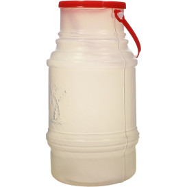 Carafe Przezroczyste Przezroczysty z Uchwytami i Pokrywka do 1000 ml (50 Sztuk)