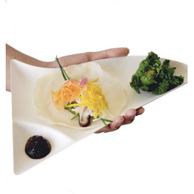 Sugarcane Tray Wasara Biodegradable Double Compartment (200 Units)